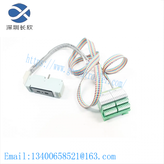 foxboro_p0500sr_termination_cable_assembly.png FOXBORO P0500SR - High-Performance Termination Cable Assembly