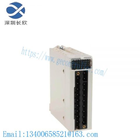 Schneider BMXAMM0600 Mixed Analog I/O Module
