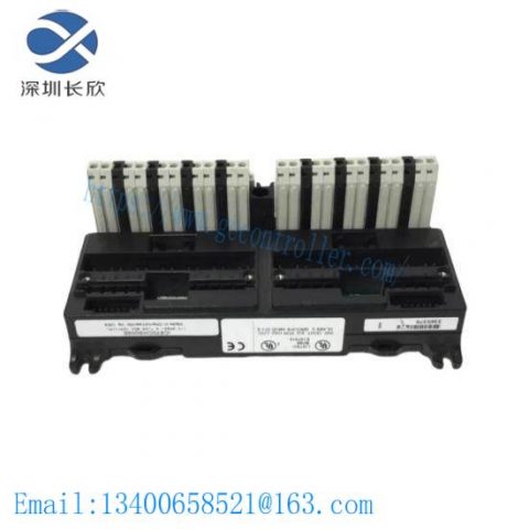 GE FANUC IC670CHS002 - Advanced I/O Terminal Block for Industrial Control Applications