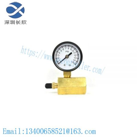 Thrifco Plumbing 8705TPE010S1W0N5 Gas Pressure Test Gauge