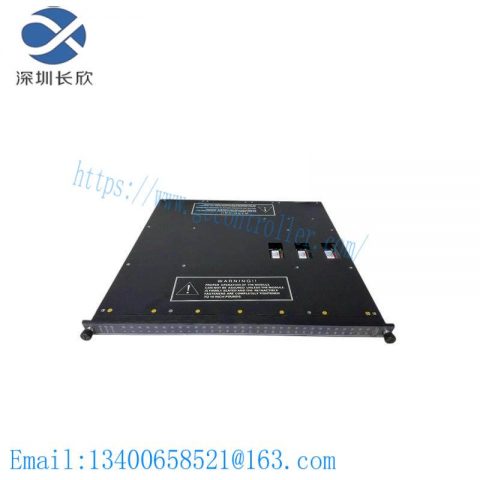 TRICONEX 3636R Control Module Application Software, 200 Characters Limit