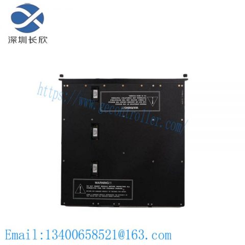 TRICONEX 4351A High-Performance Industrial Module, TRICONEX Custom Processing